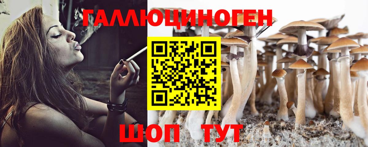 Галлюциногенные грибы ЛСД  Вход с VPN  Волоколамск 